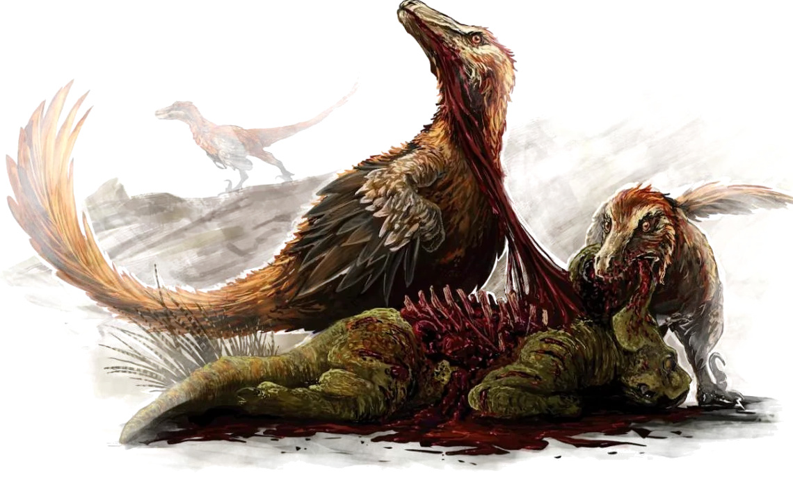Two feathered predators feed on a fallen herbivore while a third watches