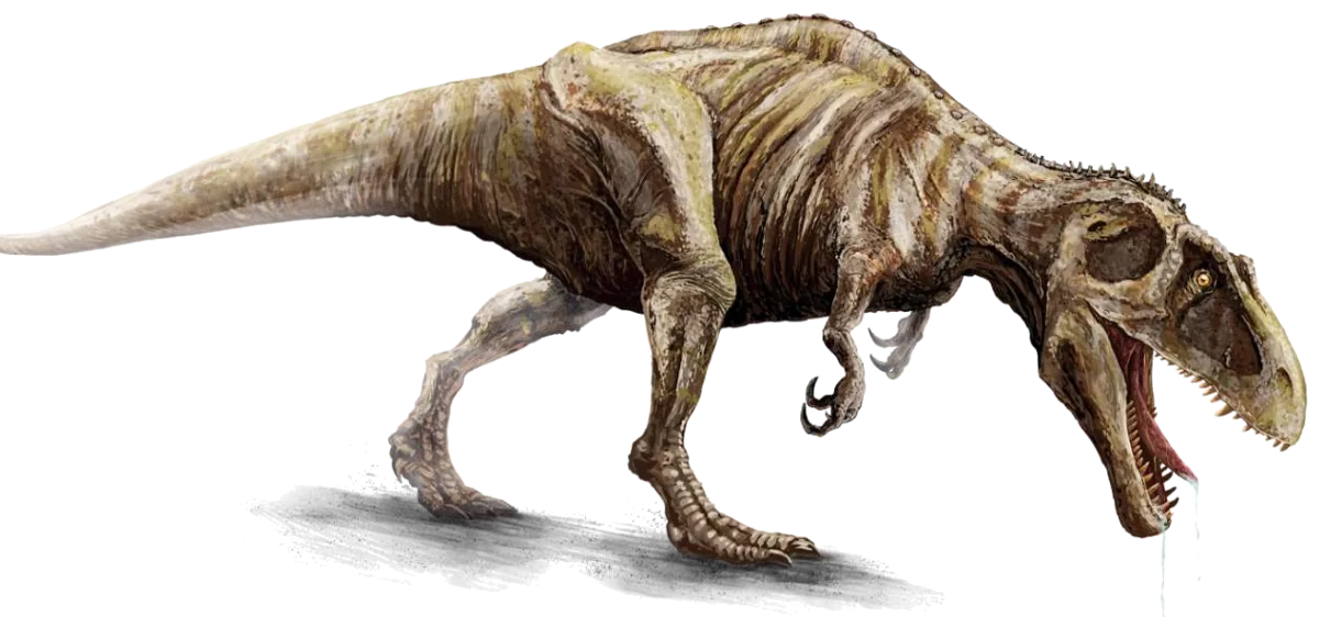 A starving tyrannosaur stalks with its head low