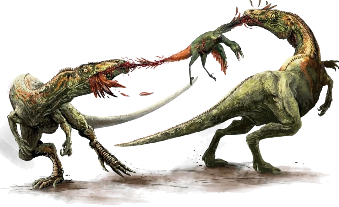 Two predators tear a small kill between them